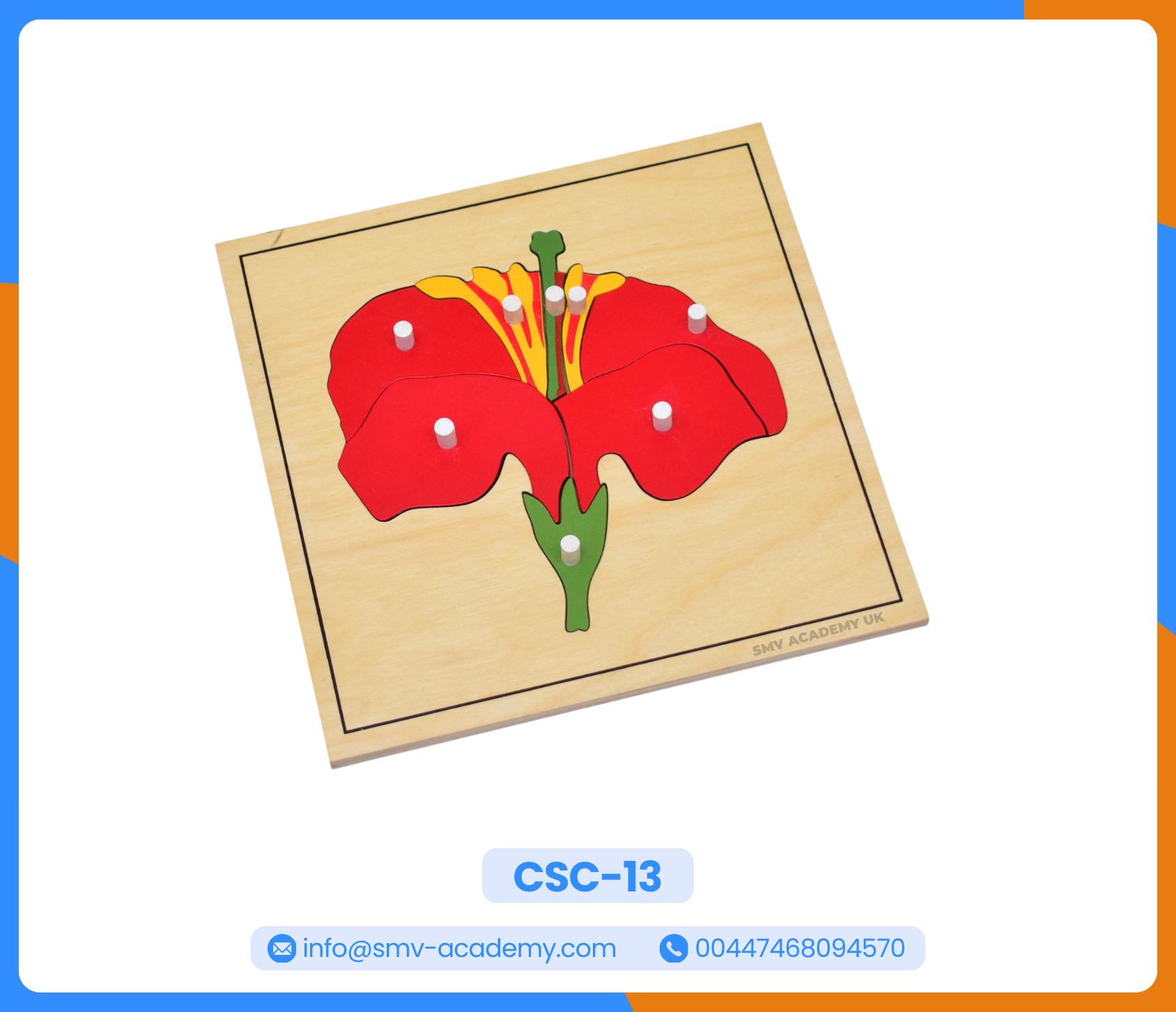 مجموعة بازل أجزاء النبات - Parts of a Plant Puzzle